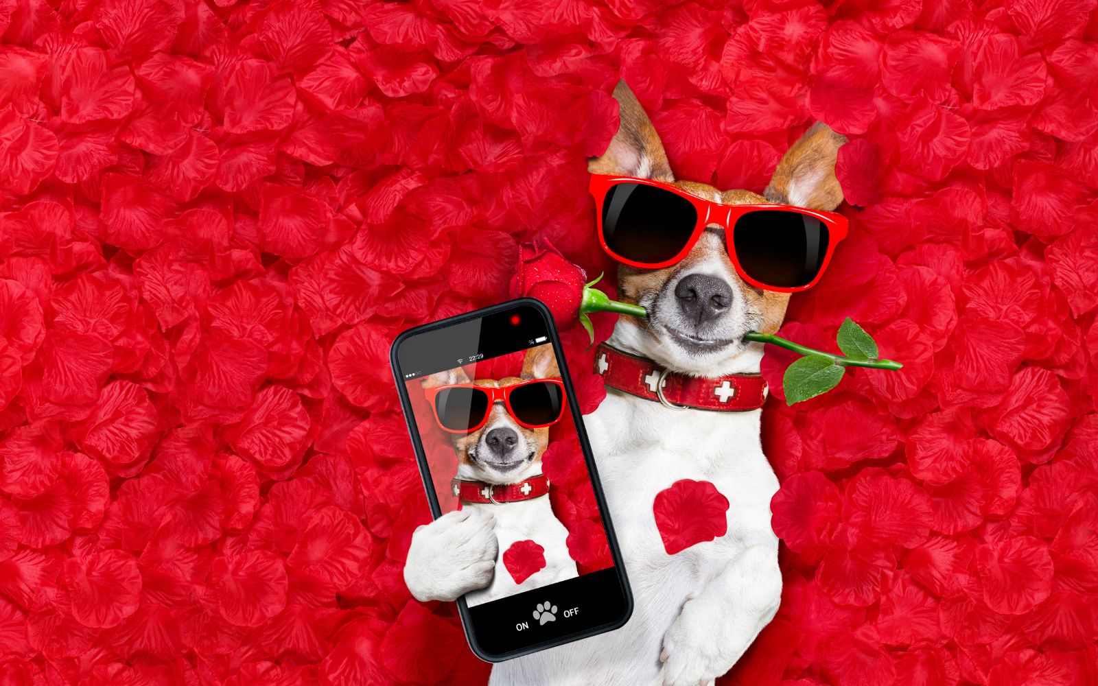 10-Consejos-de-marketing-para-febrero